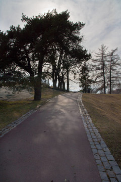 公園路