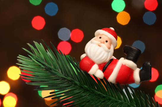 Santa在圣誕樹枝上休息