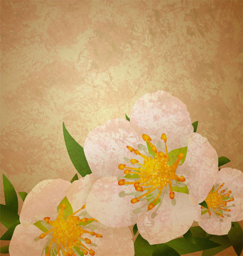 野玫瑰的花白色垃圾的復古風格的插圖