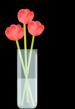 花瓶里的红色花朵