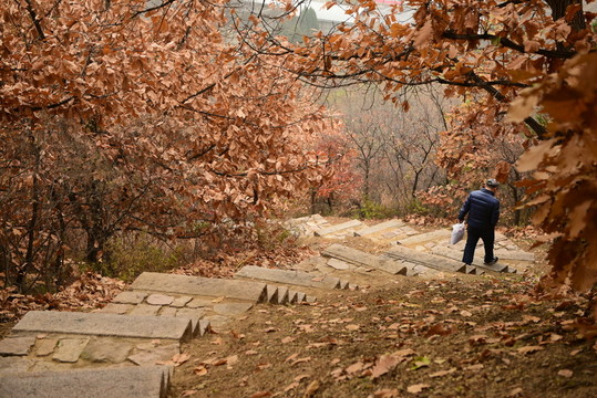 踏秋 山路