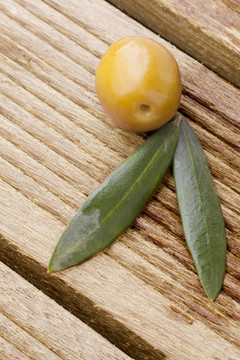 橄欖油和樹(shù)葉