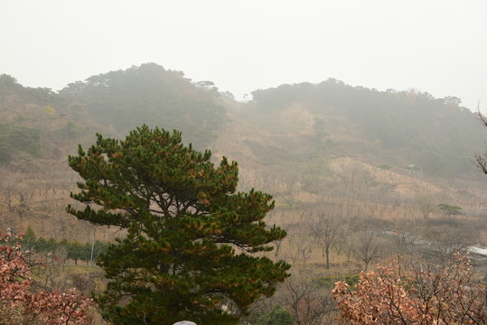 昌平銀山秋色