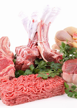各種各樣的肉