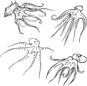 章魚向量集