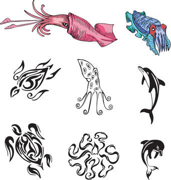 海洋生物的海龜；海豚；章魚和魷魚