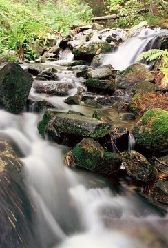 山區(qū)河流。森林和山區(qū)地形中的一條溪流