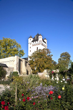 Eltville castle著名的塔