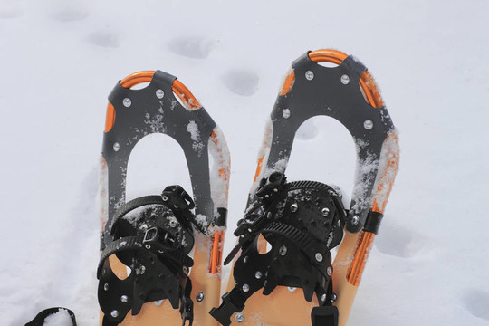 冬天的雪鞋