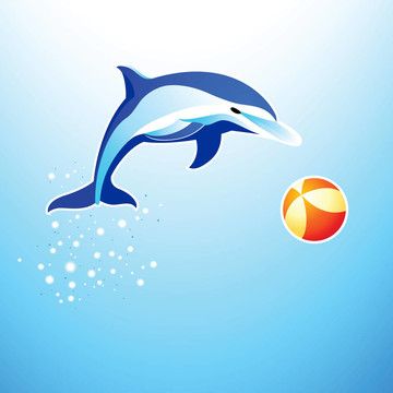 海豚