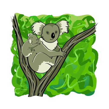Koala的家人