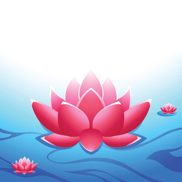 神圣的蓮花