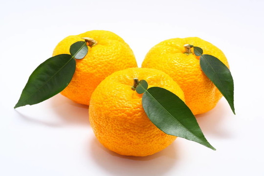 香木緣