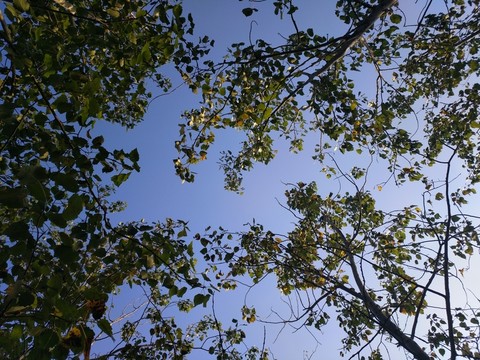 天空