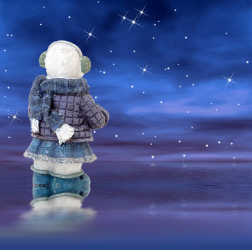 在星空的夜晚的雪人