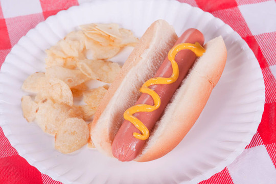 熱Dog Picnic