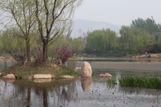 戴河生態(tài)園