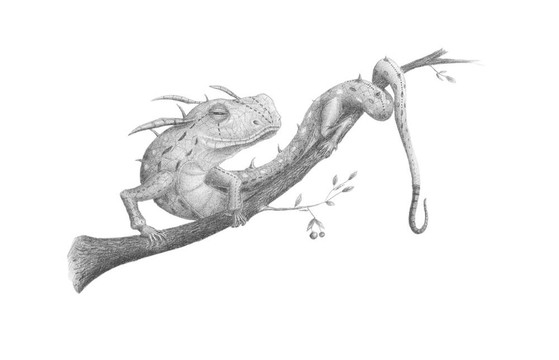 蜥蜴