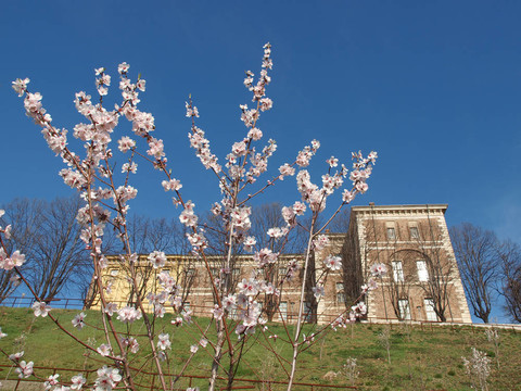 Castello di Rivoli；意大利
