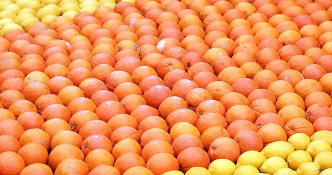 許多橙子和檸檬