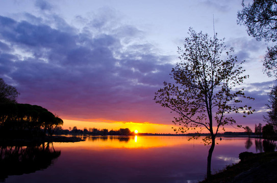 美麗的春天的湖泊夕陽