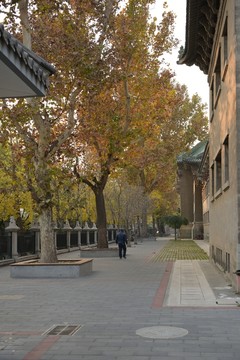 北京師范大學(xué)