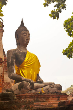 Sitting Buddha的雕像