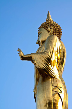 佛彩金