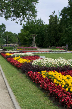 錫蒂市中心里加公園的鮮花