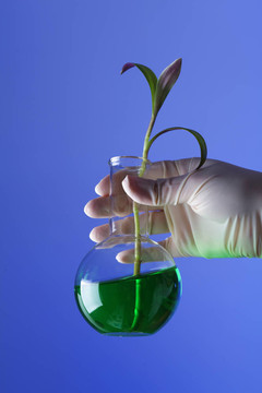 在綠色植物生物學實驗室
