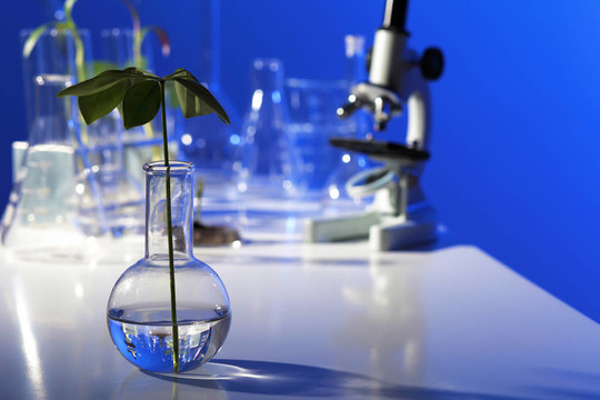 在綠色植物生物學實驗室