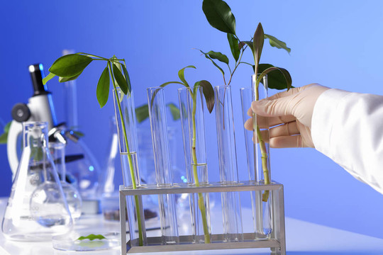 在綠色植物生物學(xué)實(shí)驗(yàn)室