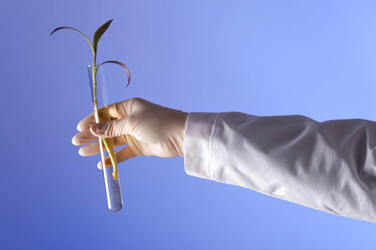 在綠色植物生物學(xué)實(shí)驗(yàn)室