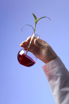 在綠色植物生物學(xué)實驗室