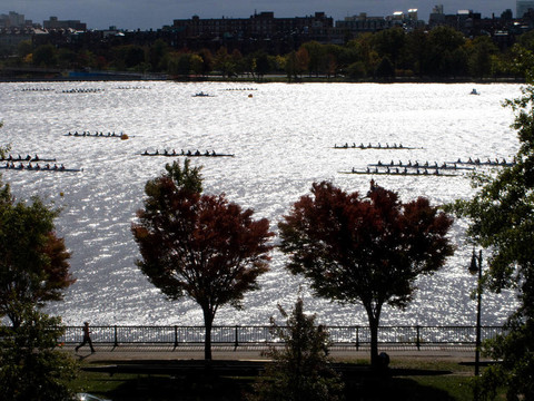 Charles River賽艇