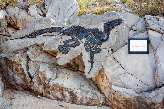 dinosauro安東尼奧；Tethyshadros insularis