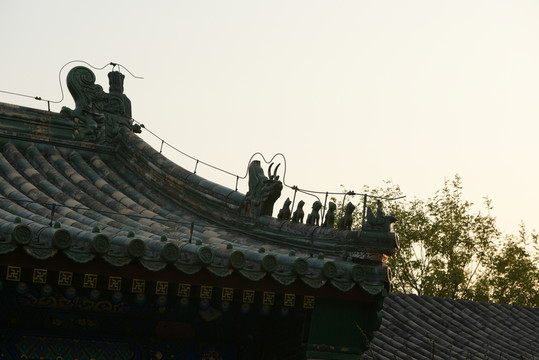 屋脊 飛檐 瑞獸