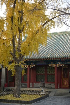 北京恭王府