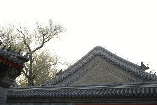 屋脊瑞獸 清代建筑
