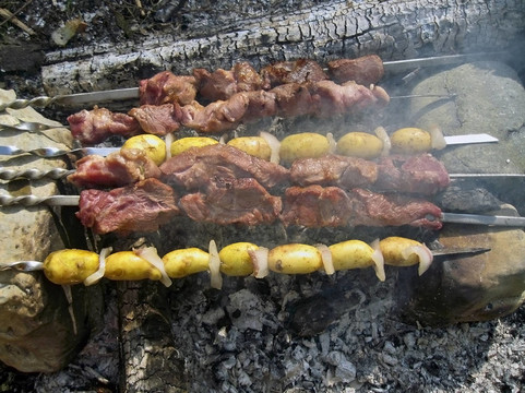 烤肉的篝火