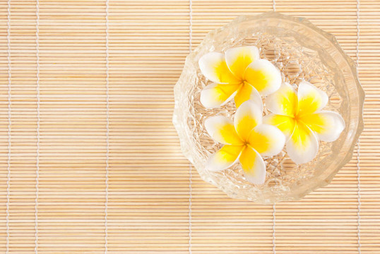熱門預(yù)訂鮮花的水碗