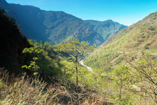 西藏山景觀