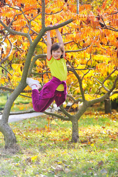 小女孩爬上树
