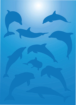 海洋魚類