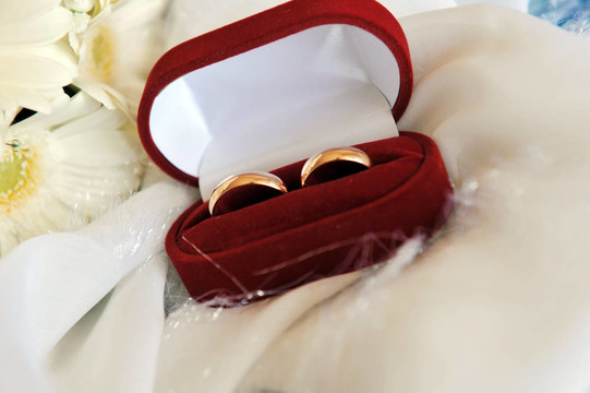 白色非洲菊和結(jié)婚戒指