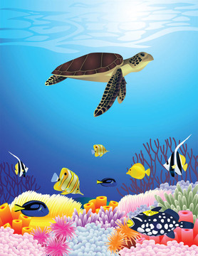美麗的海洋生物背景