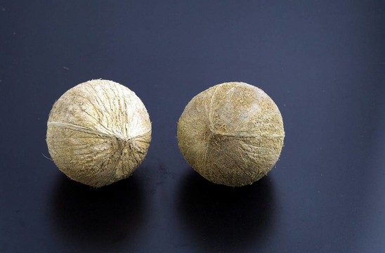 食品和菜肴