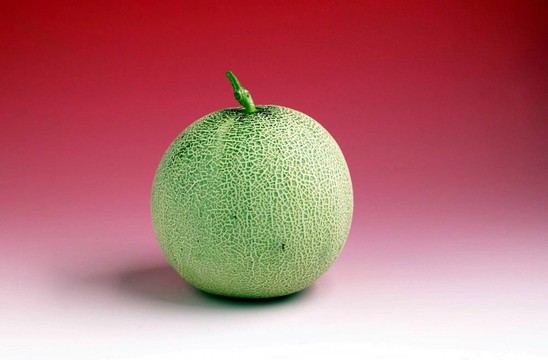 食品和菜肴