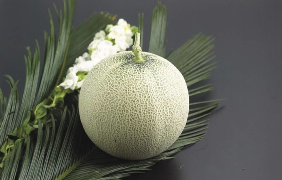 食品和菜肴