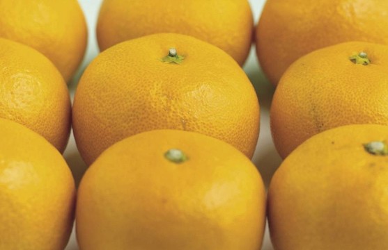 食品和菜肴